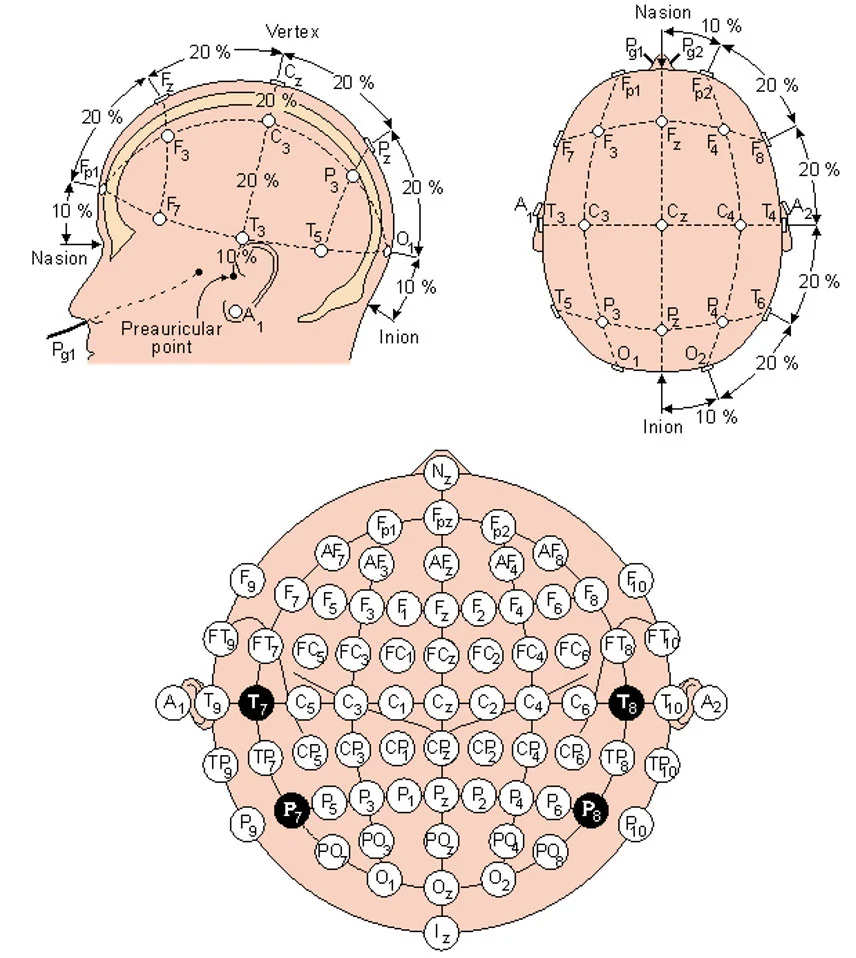 EEG electrode map